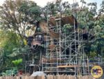 Disneyland News Construction Adventureland Treehouse 6 MiceChat