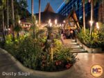 Disneyland News Construction Disneyland Hotel Trader Sams MiceChat