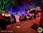 Disneyland News DCA Crowds Night Closng Lines Popcorn Cart MiceChat