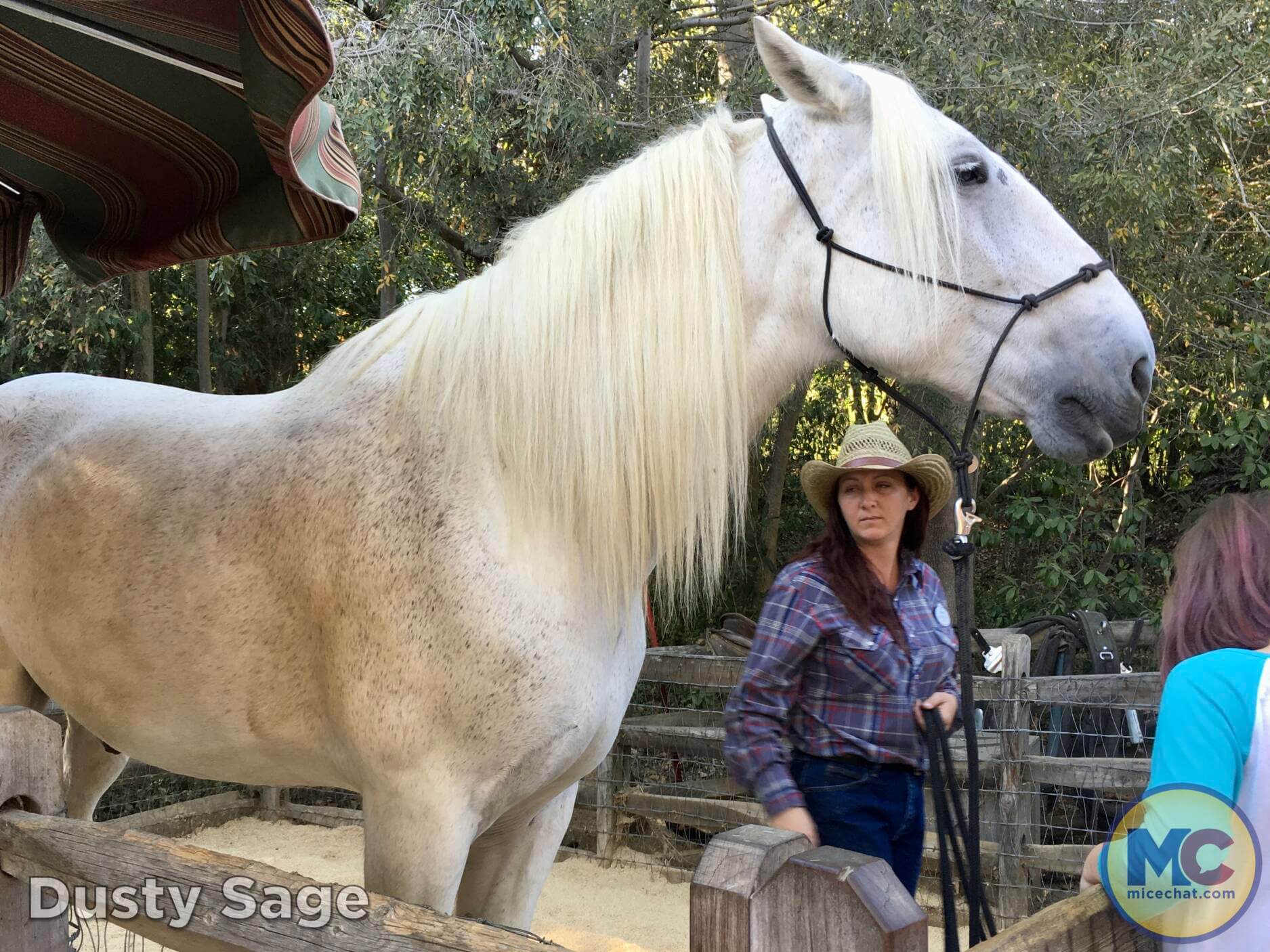 Big Thunder Ranch, Remembering Big Thunder Ranch – Disneyland’s Holiday Headquarters