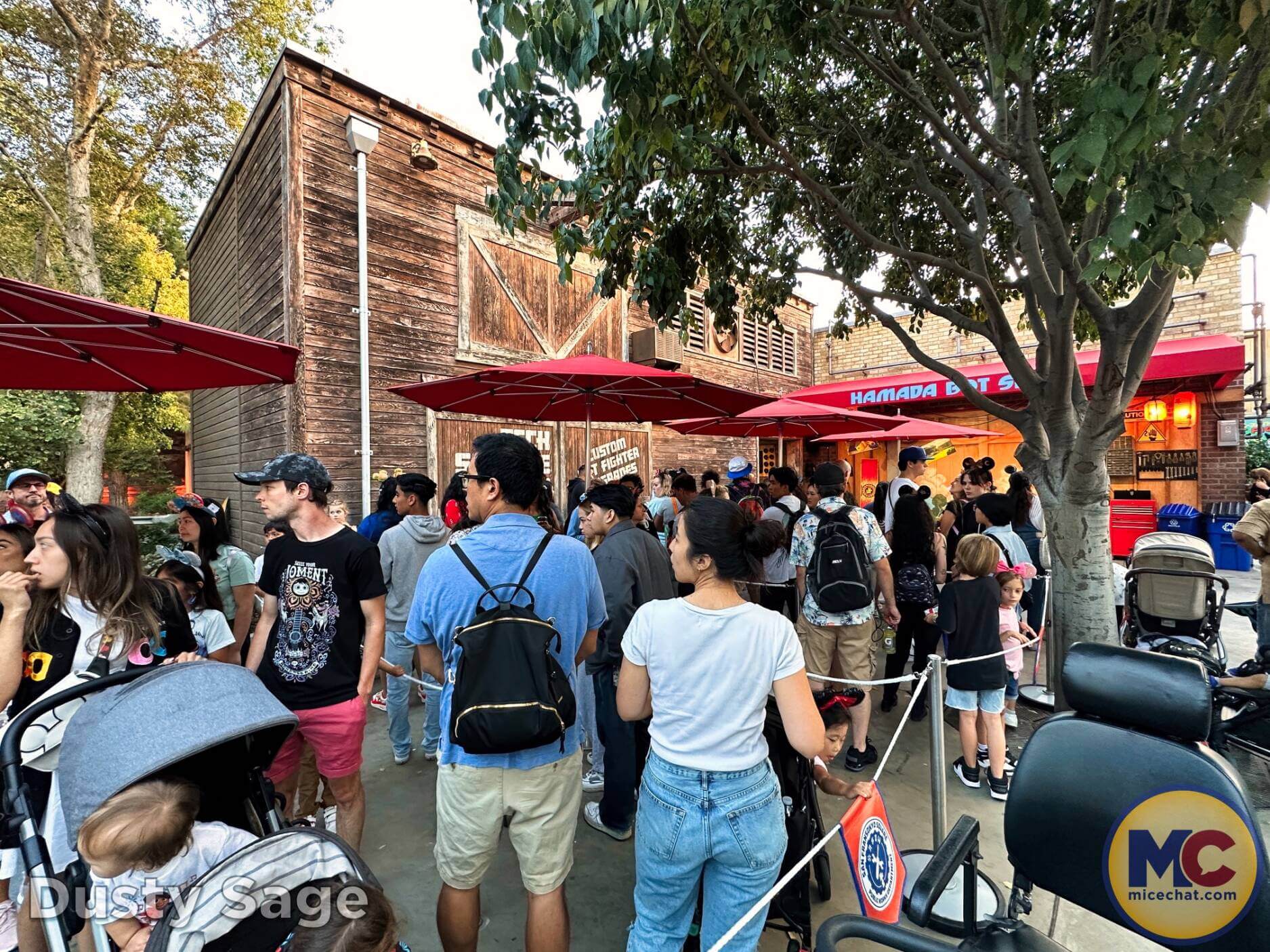 , Disneyland Update – A Great Big Beautiful Tomorrow???
