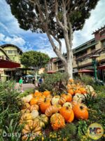 Disneyland News alloween downtown disney pumpkin patch 4 MiceChat