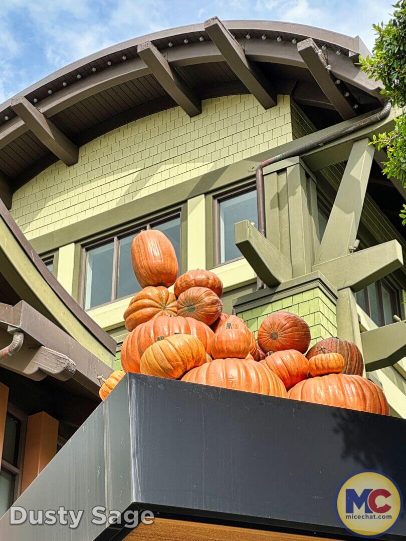 , Disneyland Update – Snubbed, Overlooked, & Sold Out!
