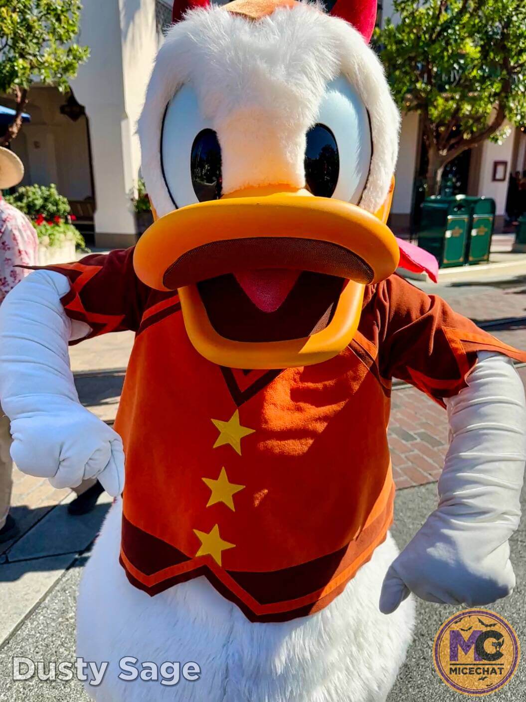 , Disneyland Update – Bring It On – OR – The Big Tease!