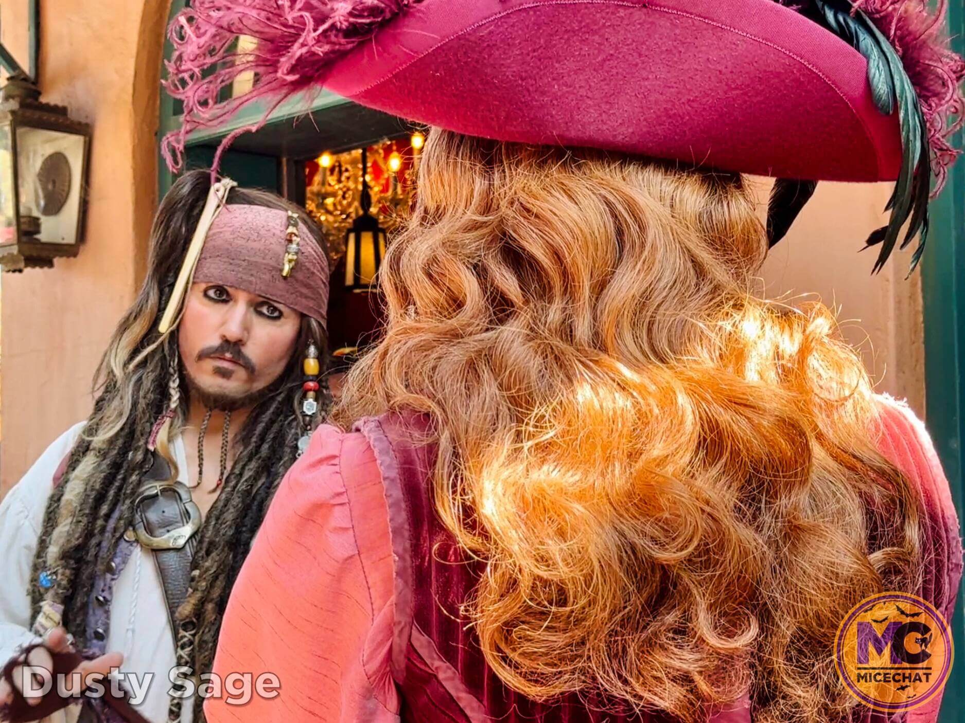 , Disneyland Update – Bring It On – OR – The Big Tease!