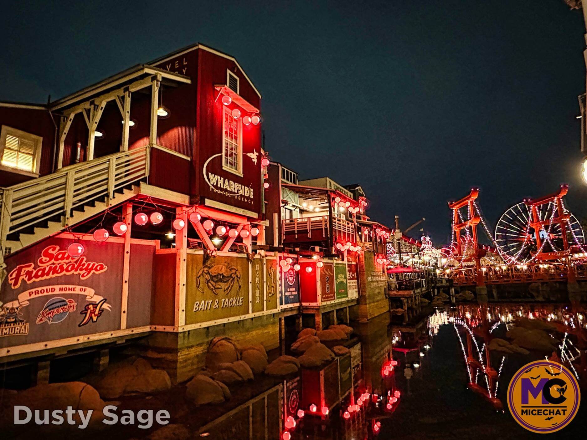 , Disneyland Update – Bring It On – OR – The Big Tease!
