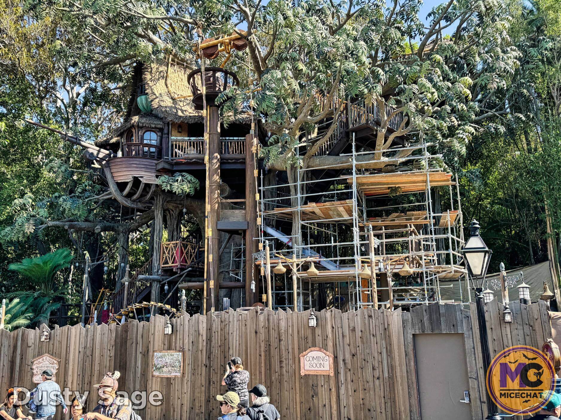 , Disneyland Update – Bring It On – OR – The Big Tease!
