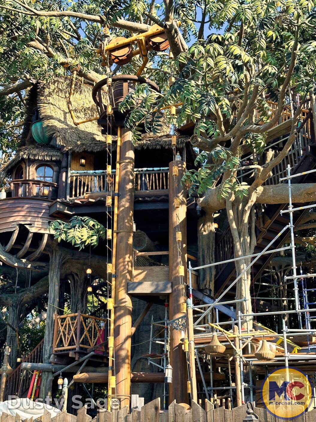 , Disneyland Update – Bring It On – OR – The Big Tease!