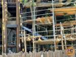 Disneyland News construction adventureland treehouse 2 MiceChat