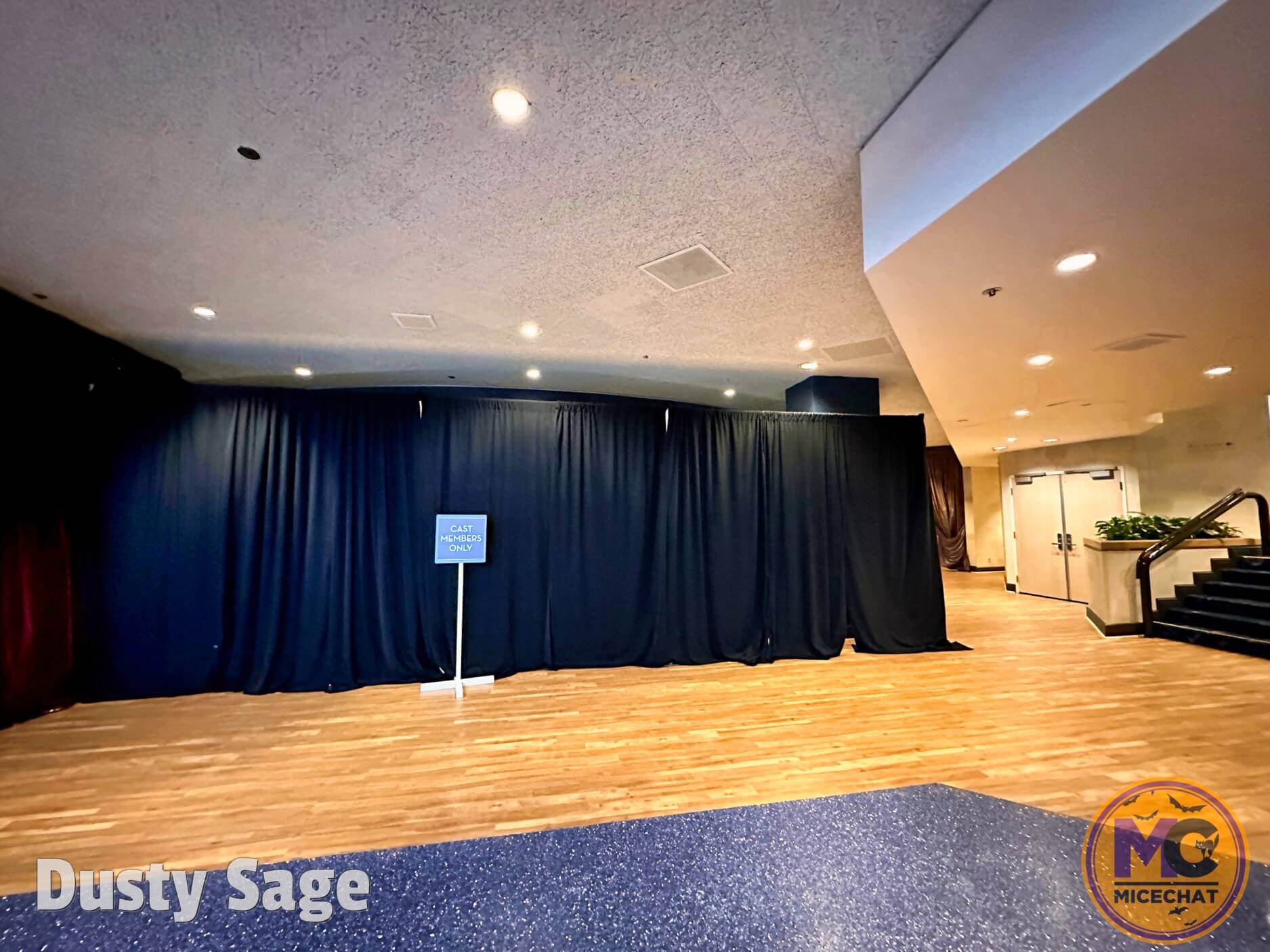 , Disneyland Update – A Great Big Beautiful Tomorrow???