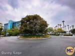 Disneyland News disneyland forward expanse between hotels MiceChat