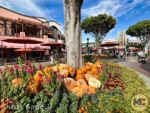Disneyland News halloween downtown disney pumpkin patch 1 MiceChat