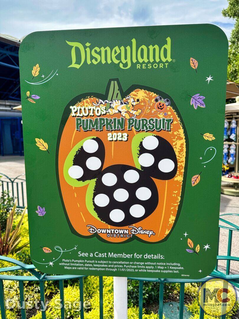 , Disneyland Update – Snubbed, Overlooked, & Sold Out!