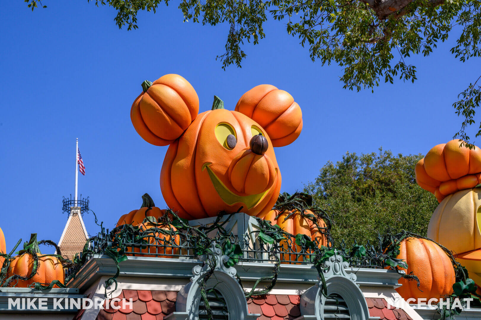 , Disneyland Update – San Fran Uh-Oh, Halloween Rewind, & Coming Soon!