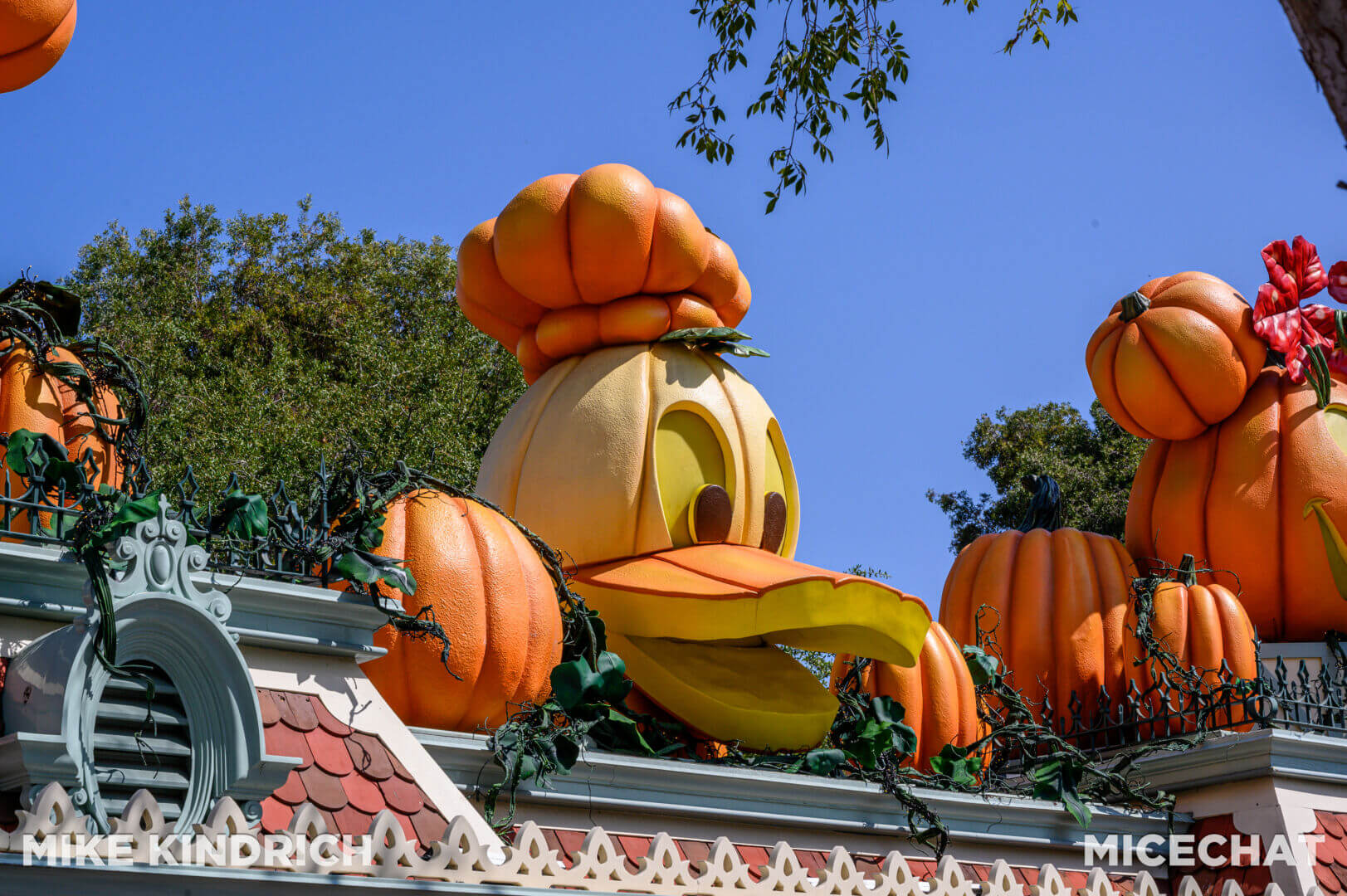 , Disneyland Update – San Fran Uh-Oh, Halloween Rewind, & Coming Soon!