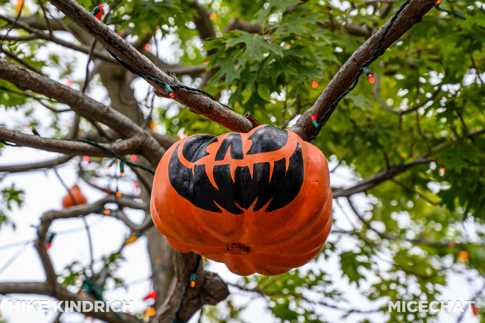 , Disneyland Update – San Fran Uh-Oh, Halloween Rewind, & Coming Soon!