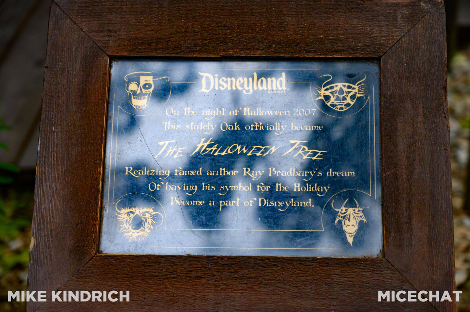 , Disneyland Update – San Fran Uh-Oh, Halloween Rewind, & Coming Soon!