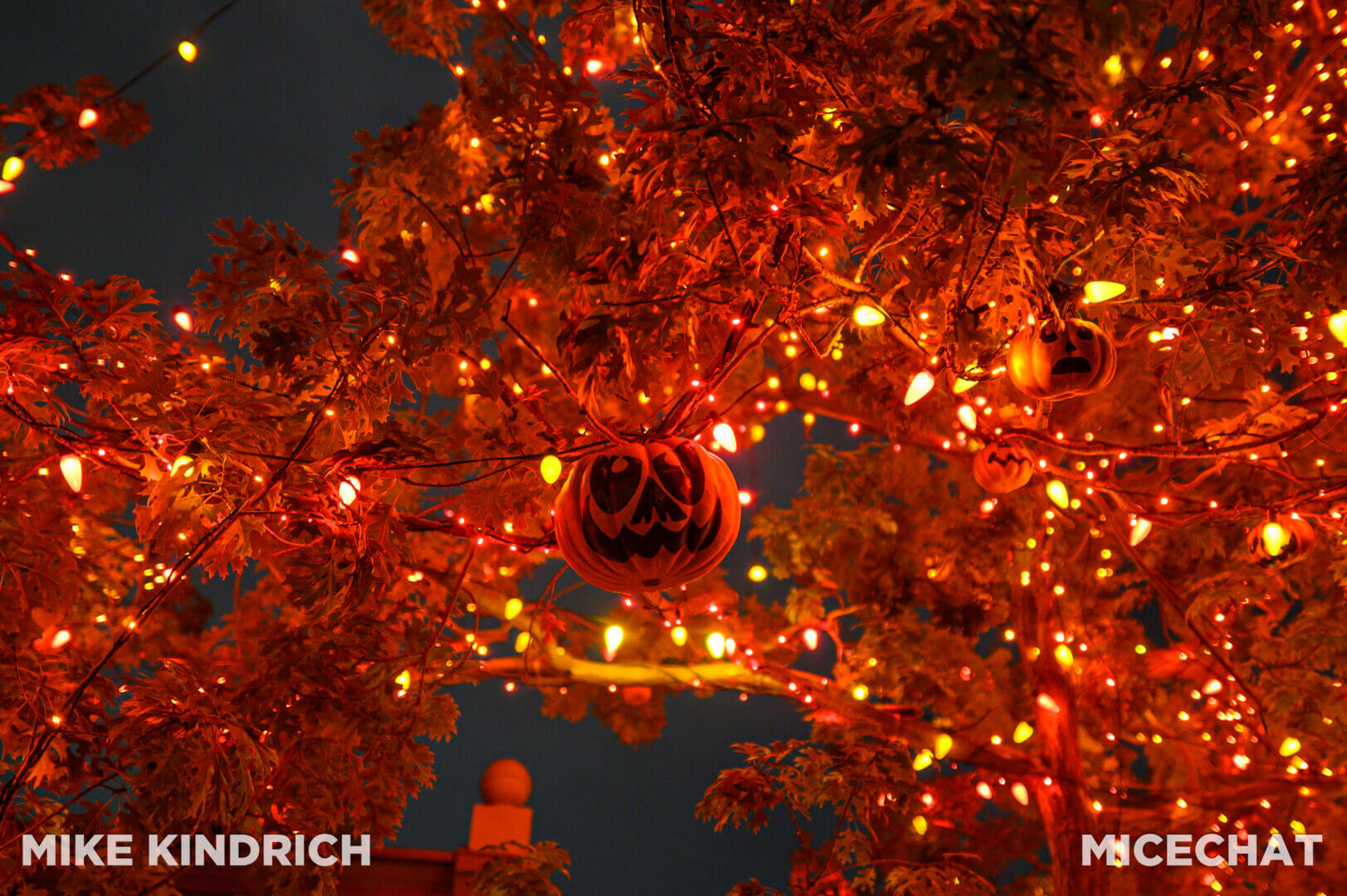 , Disneyland Update – San Fran Uh-Oh, Halloween Rewind, & Coming Soon!