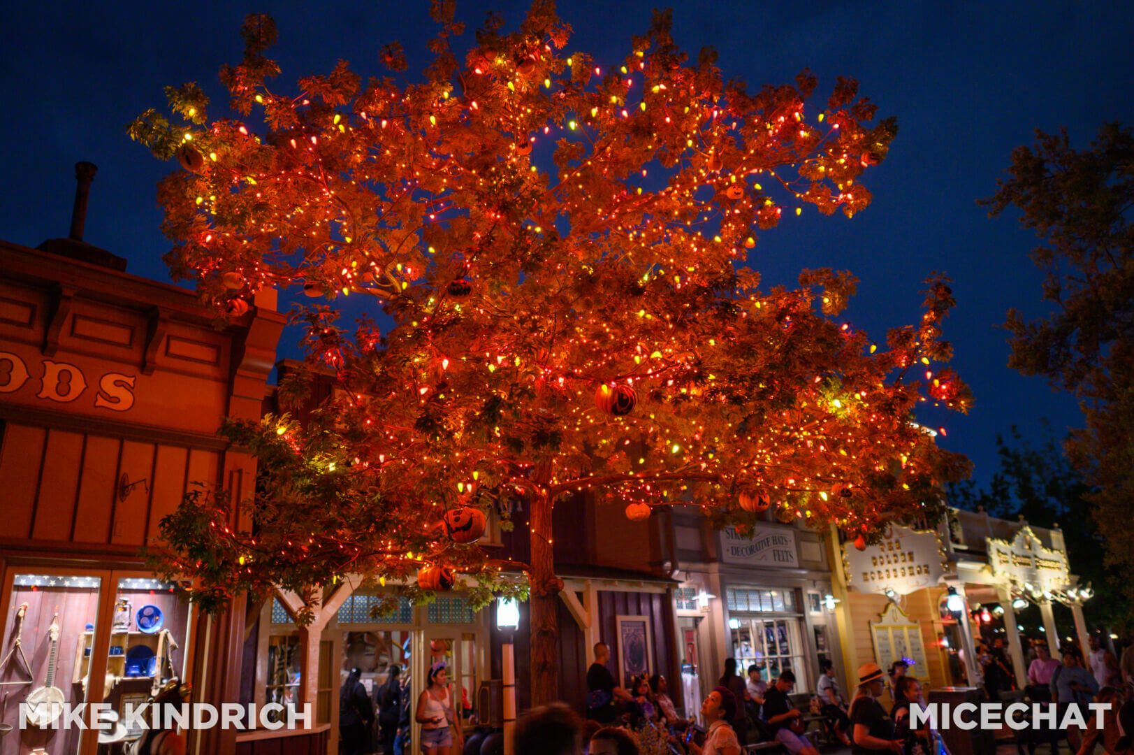 , Disneyland Update – San Fran Uh-Oh, Halloween Rewind, & Coming Soon!