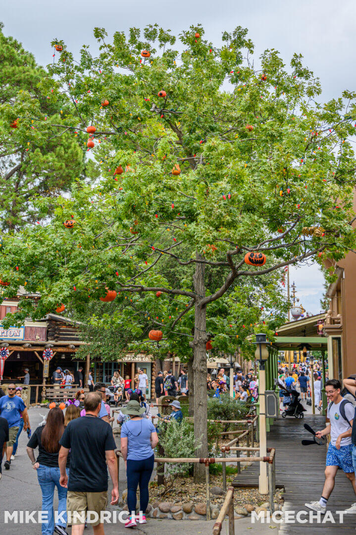, Disneyland Update – San Fran Uh-Oh, Halloween Rewind, & Coming Soon!