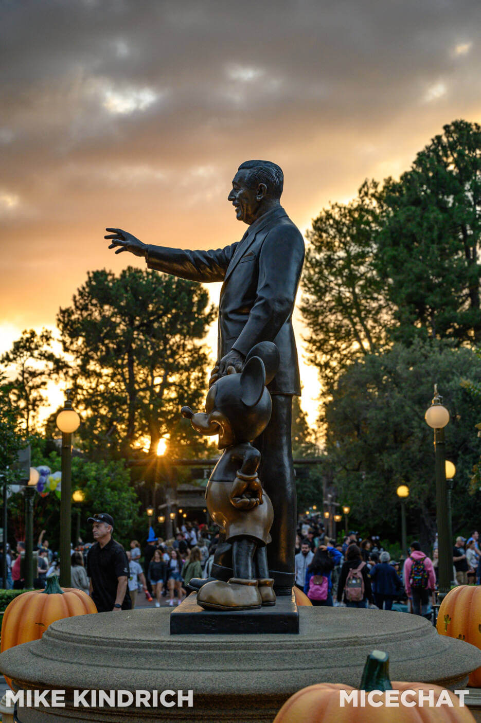 , Disneyland Update – So Much New & A Little Bit of BOO Too!