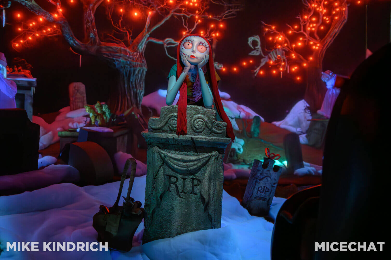 Haunted Mansion Holiday, MiceShots: A Spirited Look At Disneyland&#8217;s Haunted Mansion Holiday