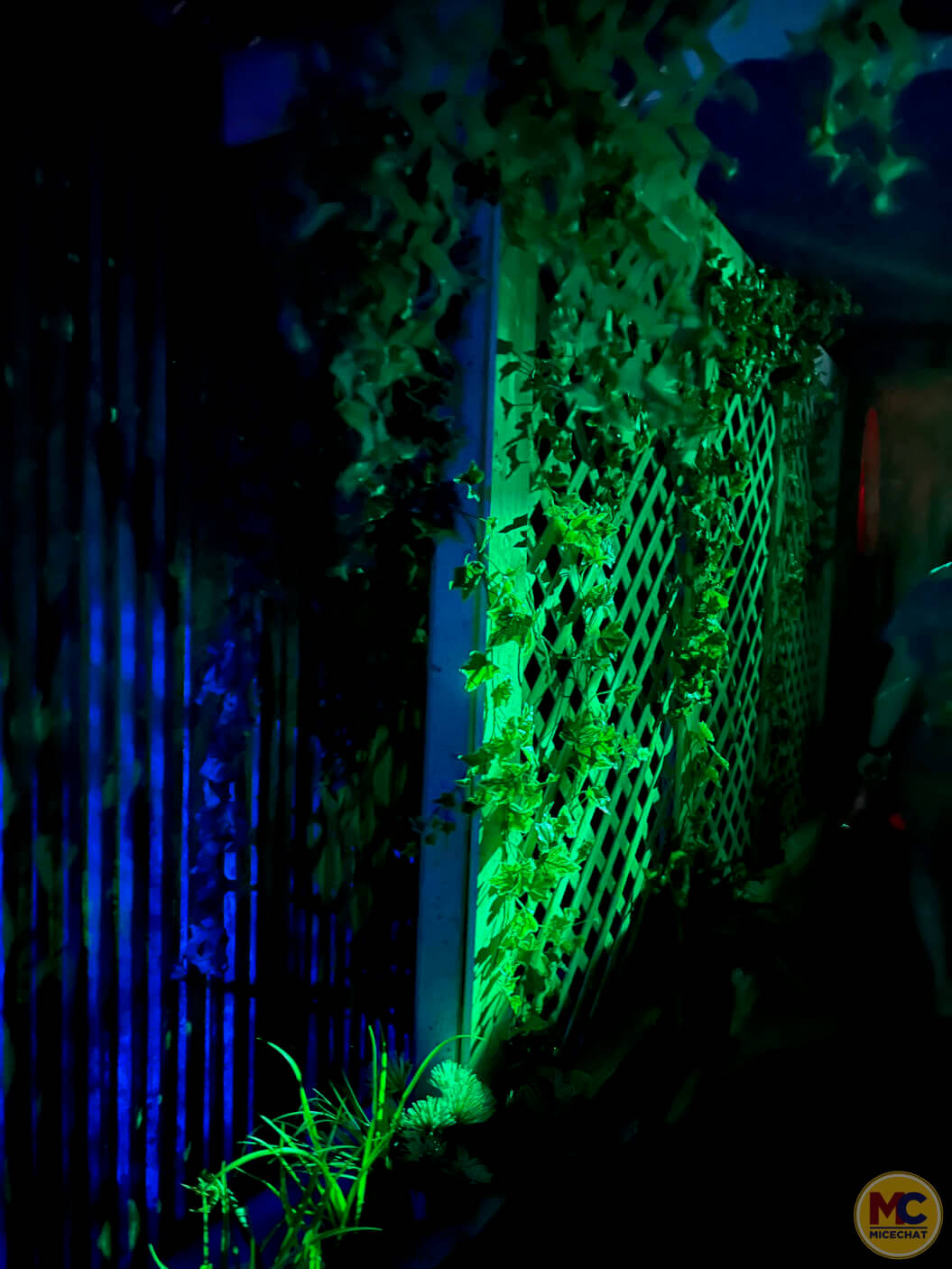 Howl-O-Scream, Hot and Cold Running Chills at SeaWorld Orlando’s Howl-O-Scream