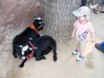 Big Thunder Ranch