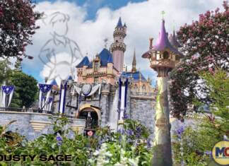 Disneyland Update – A Great Big Beautiful Tomorrow???