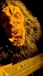 Photo_45 Halloween Horror Nights Universal Orlando HHN32