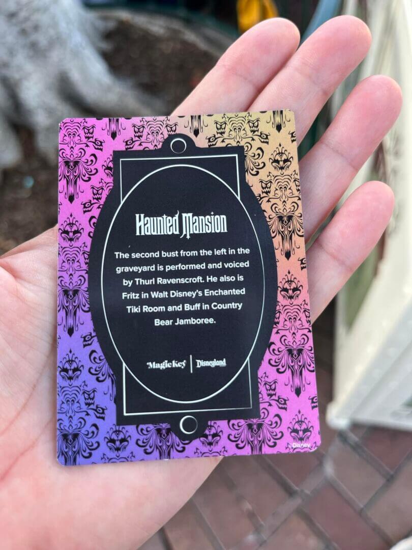, Disneyland Update – Snubbed, Overlooked, & Sold Out!