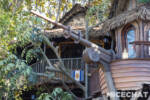 018_Disneyland_Adventureland Treehouse construction