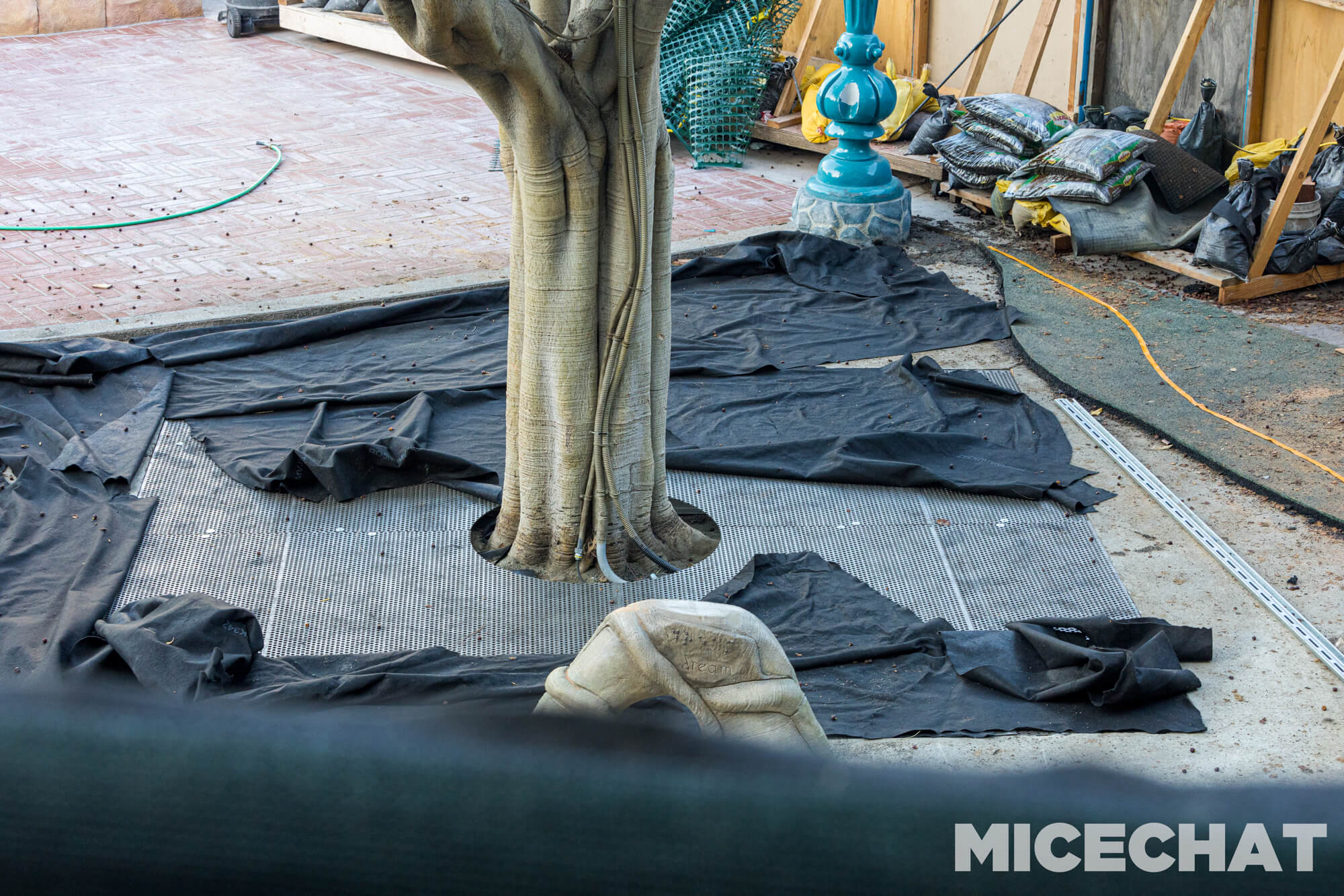 , Disneyland Update: Sad Departures and Exciting Additions!