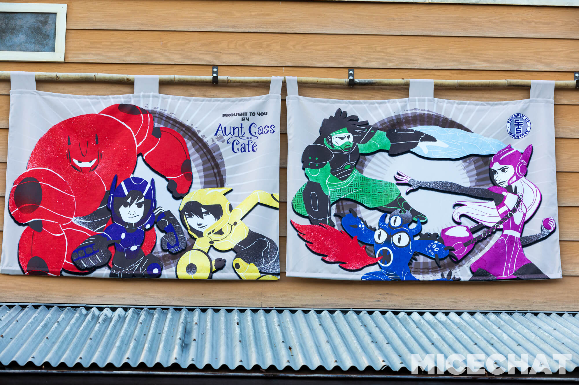 , Disneyland Update: Sad Departures and Exciting Additions!