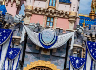 Disneyland Update: The Party’s Over…