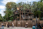 Disneyland Adventureland Treehouse construction progress DSC_3938-X5