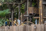 Disneyland Adventureland Treehouse construction progress DSC_3943-X5
