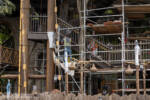 Disneyland Adventureland Treehouse construction progress DSC_3947-X5