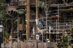 Disneyland Adventureland Treehouse construction progress DSC_3978-X5
