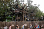 Disneyland Adventureland Treehouse construction progress DSC_4017-X5
