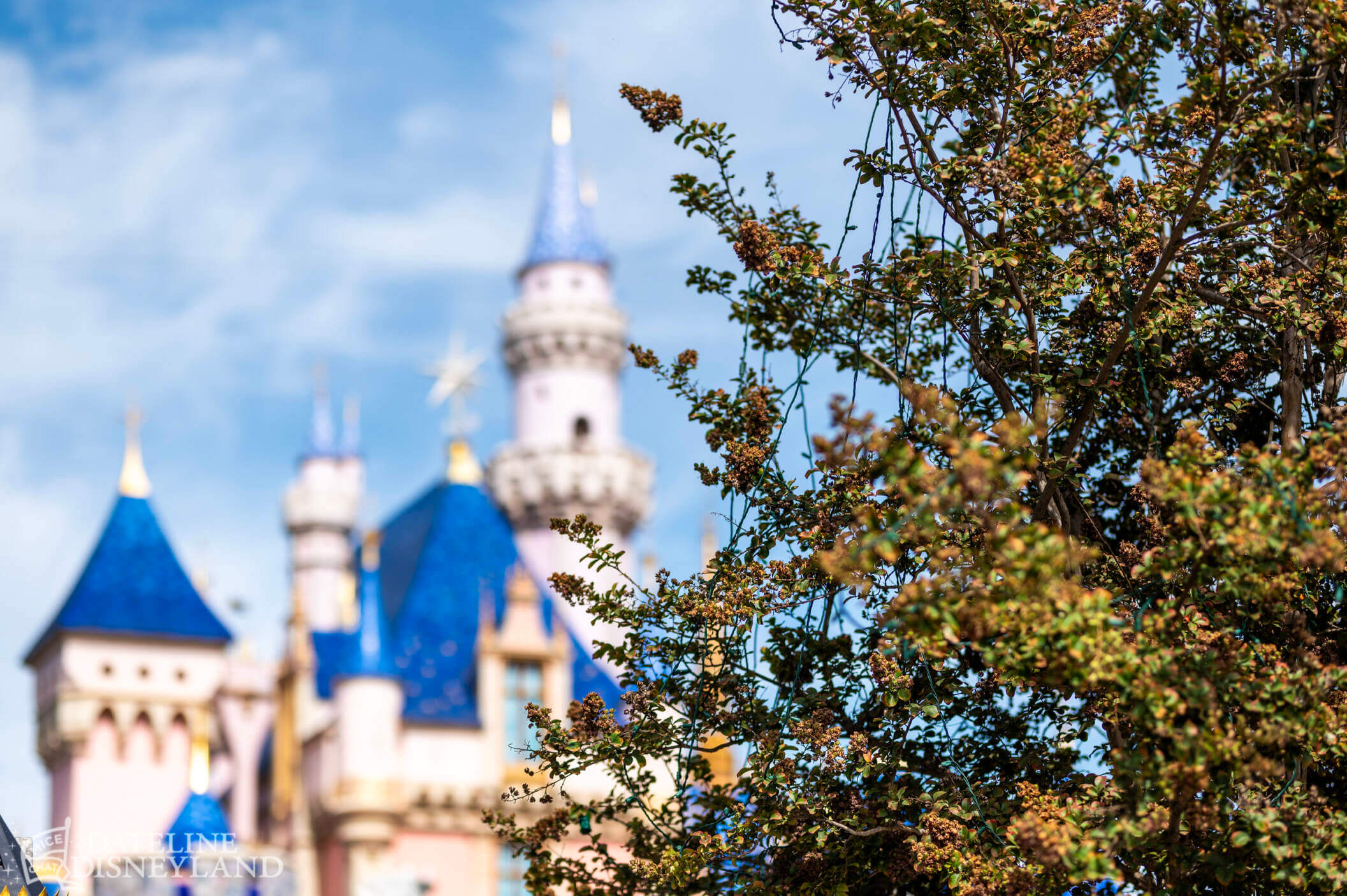 Disney100, Disneyland Update: The Party’s Over…