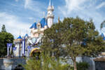 Disneyland Christmas lights installation Sleeping Beauty Castle trees DSC_3590-X5