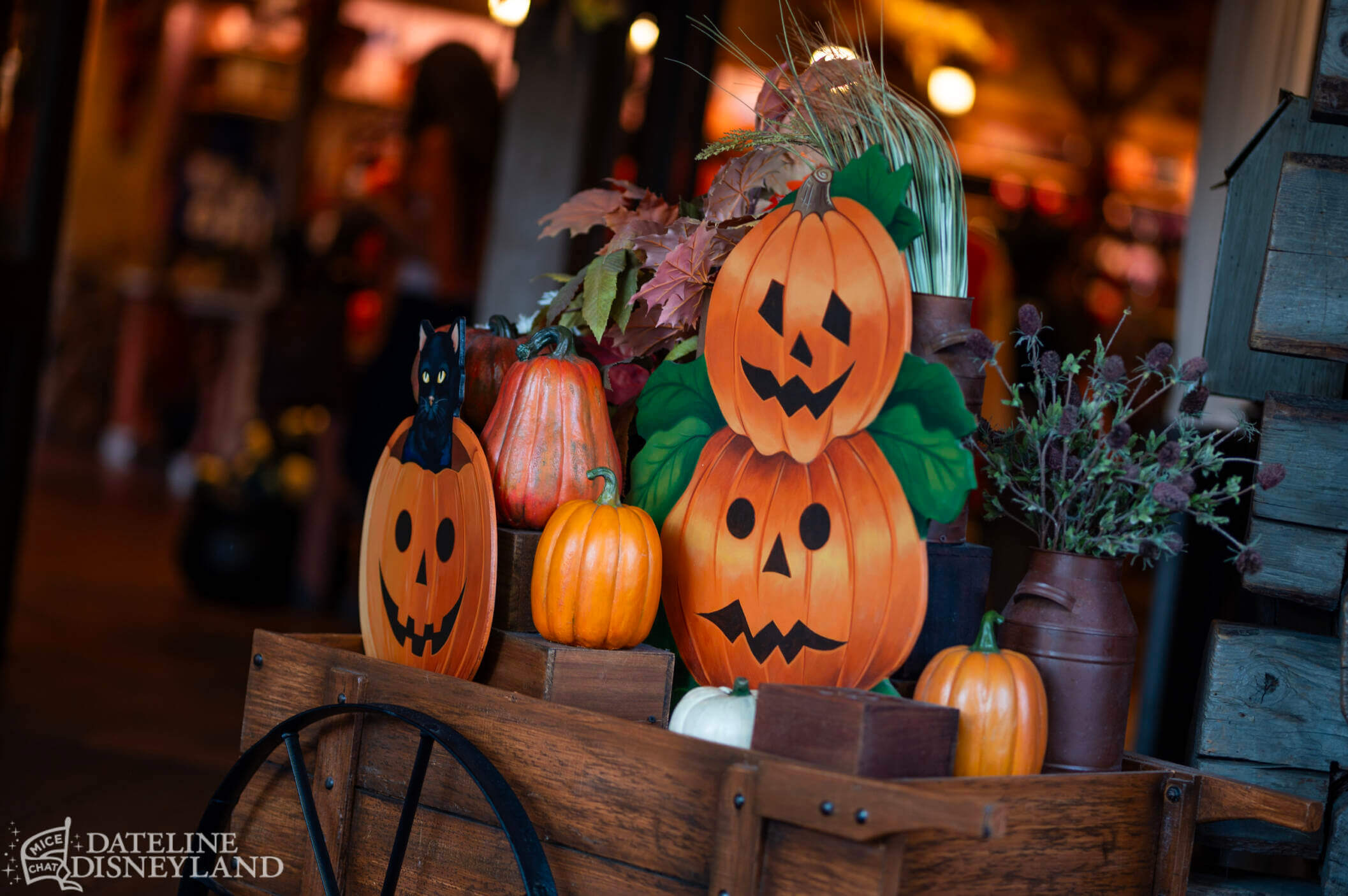 Disney100, Disneyland Update: The Party’s Over…