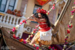 Disneyland Magic Happens Parade final weekend Moana DSC_4228-X5