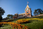 Disneyland Main Street Railroad station entrance floral DSC_4600-X5