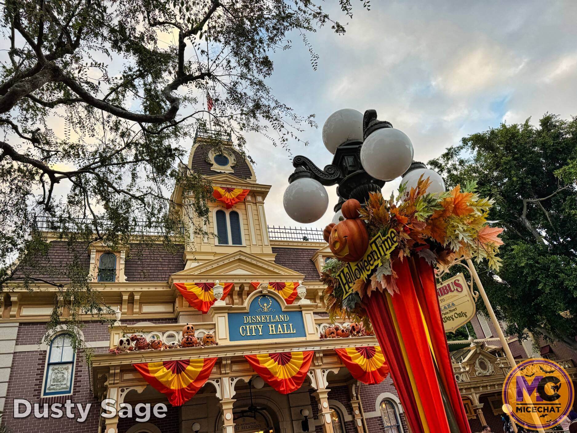 , Disneyland Update – So Much New & A Little Bit of BOO Too!