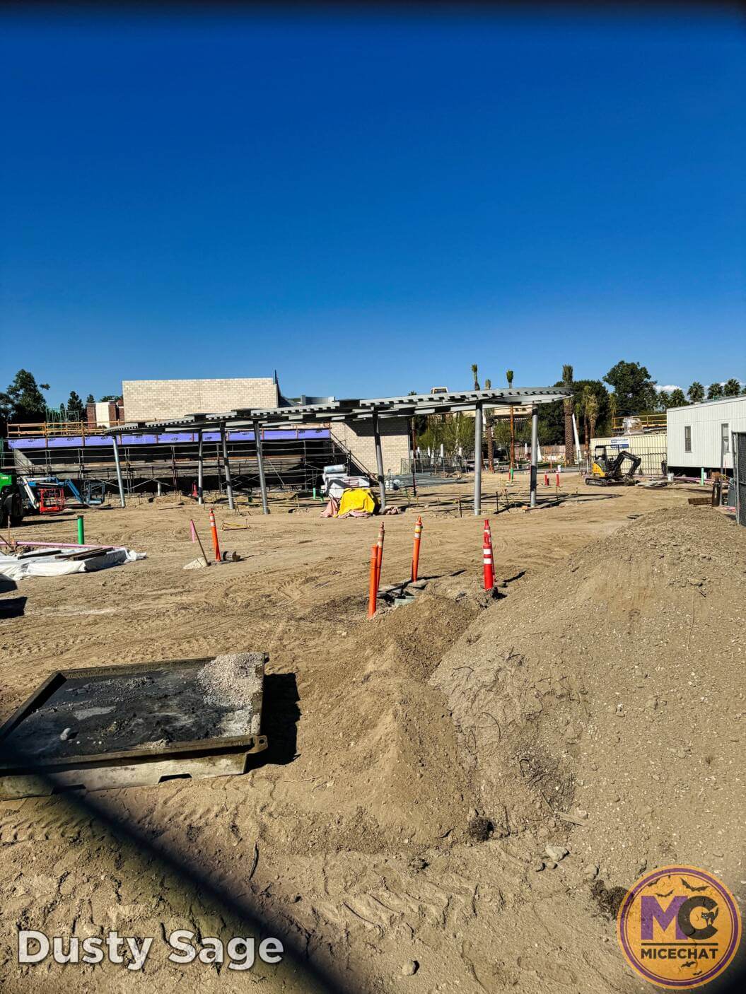, Disneyland Update – Snowfall, Pumpkins & Missed Opportunities!