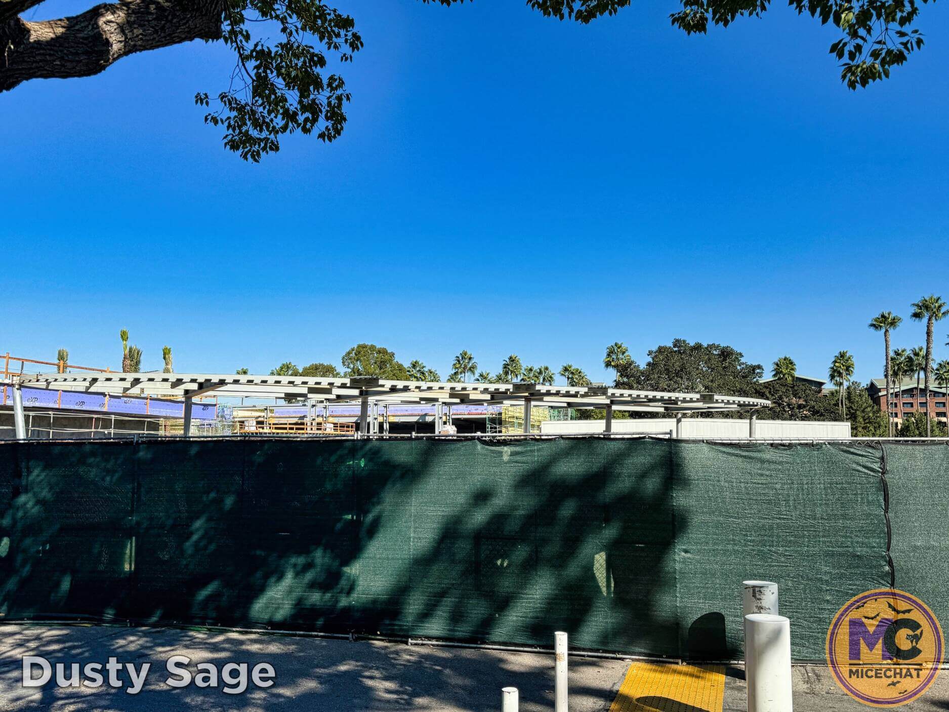 , Disneyland Update – Snowfall, Pumpkins & Missed Opportunities!