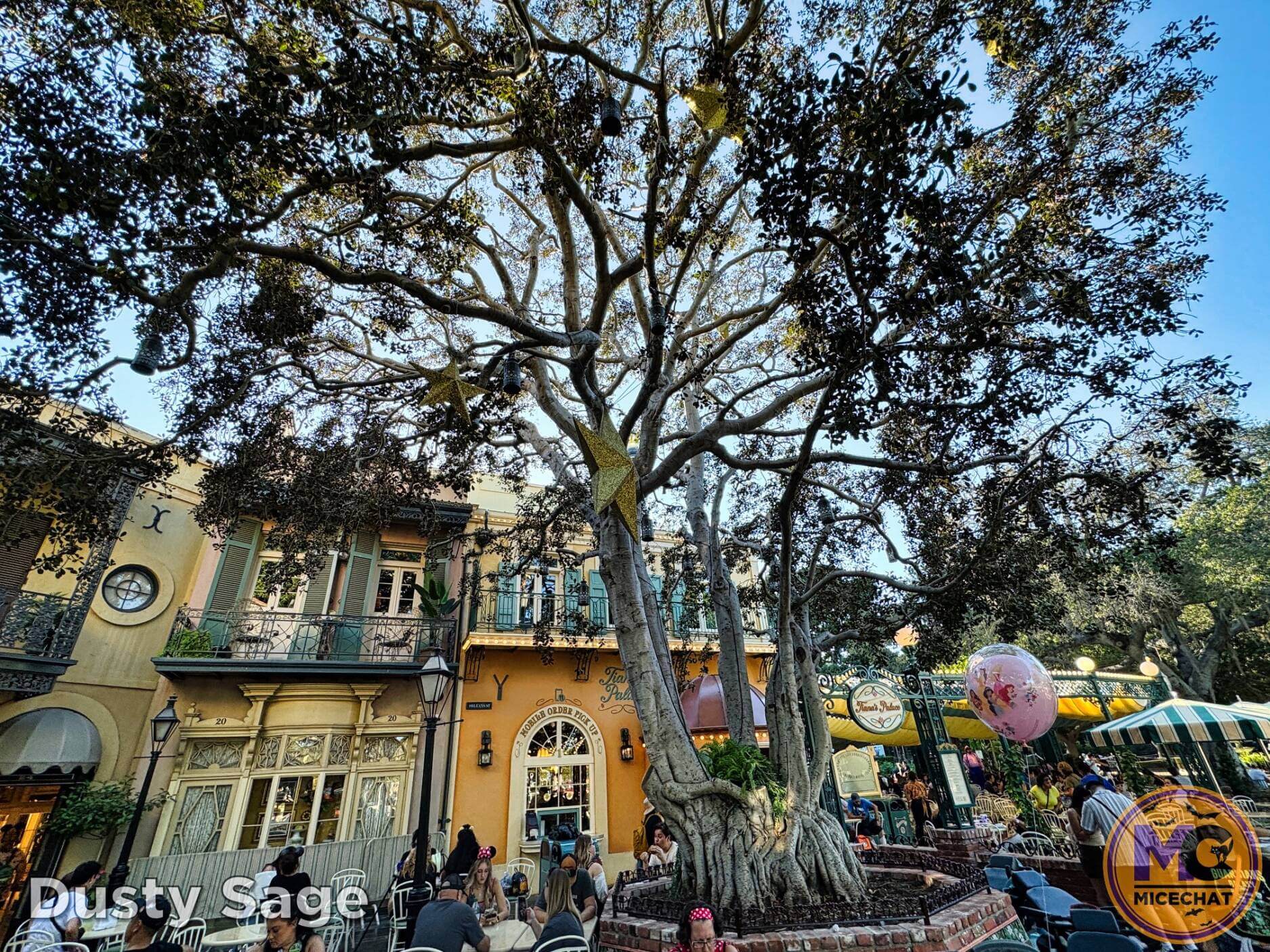 , Disneyland Update – Snowfall, Pumpkins & Missed Opportunities!