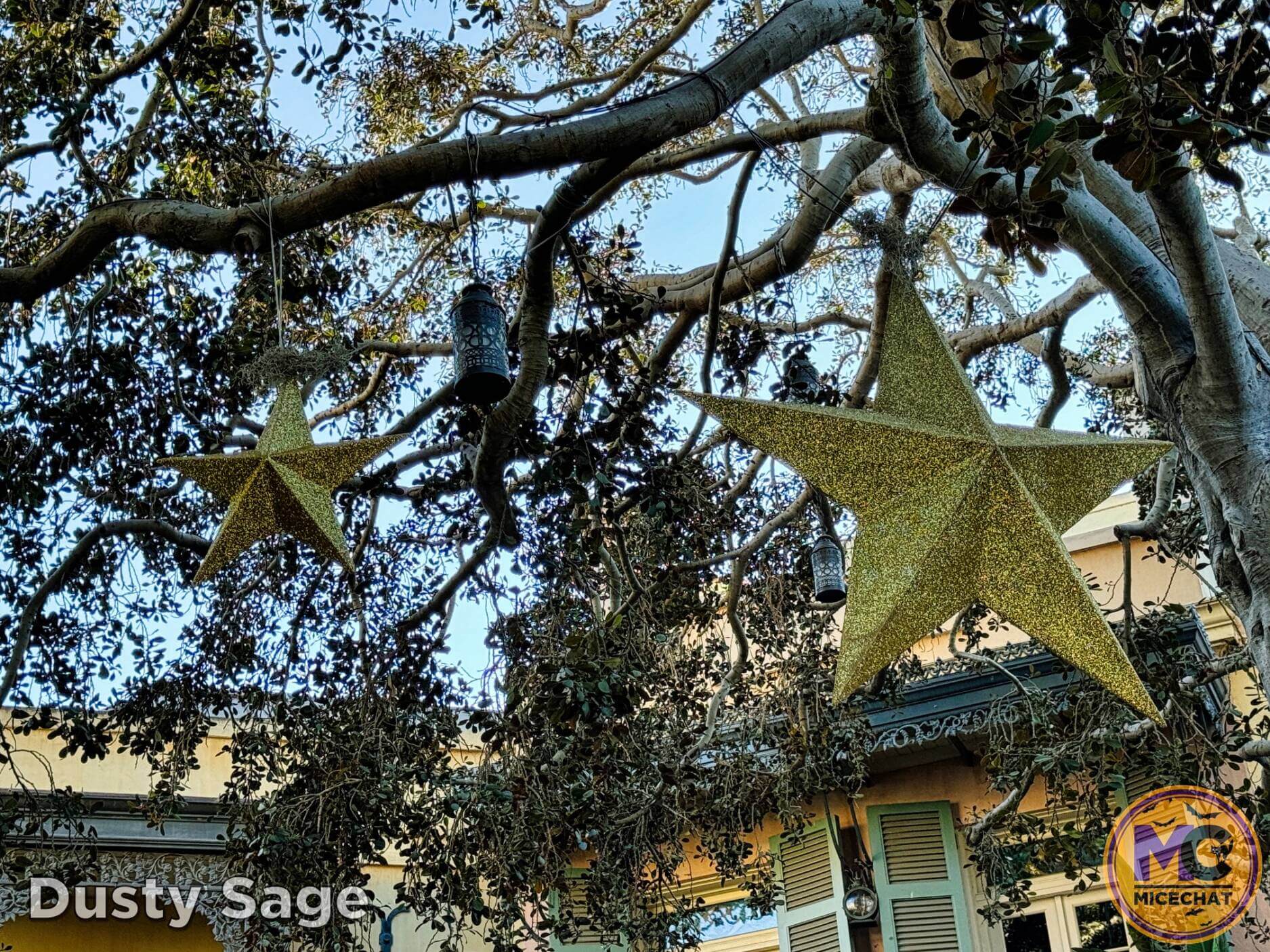 , Disneyland Update – Snowfall, Pumpkins & Missed Opportunities!